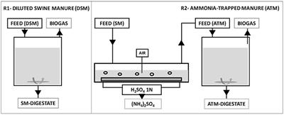 Gas-Permeable Membrane Technology Coupled With Anaerobic Digestion for Swine Manure Treatment